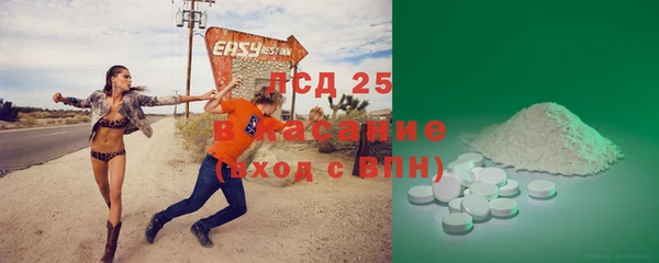 трава Медвежьегорск