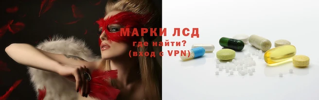 гидропоника Магас