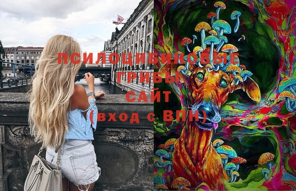 марихуана Медногорск