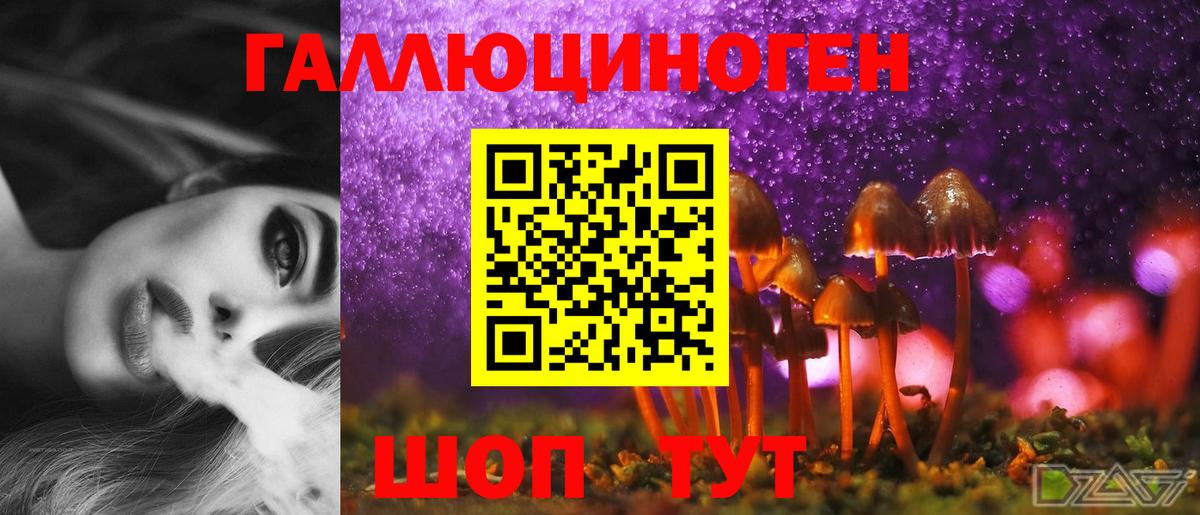 Галлюциногенные грибы Psilocybe  Вход с VPN  Галлюциногенные грибы Psilocybine cubensis  Уссурийск 